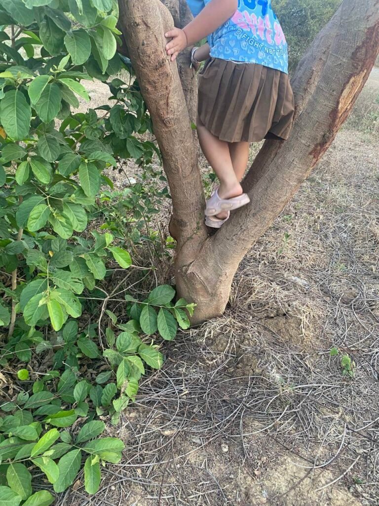 A young child wearing pink sandals carefully climbing the v-shaped trunk of a small tree.
