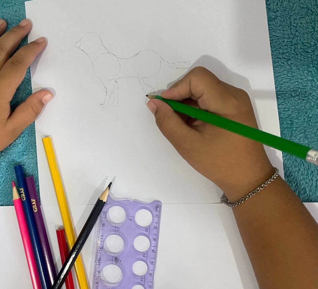 A child sketching a dog's back leg using a curved macaroni noodle shape to mimic a real canine hock joint.