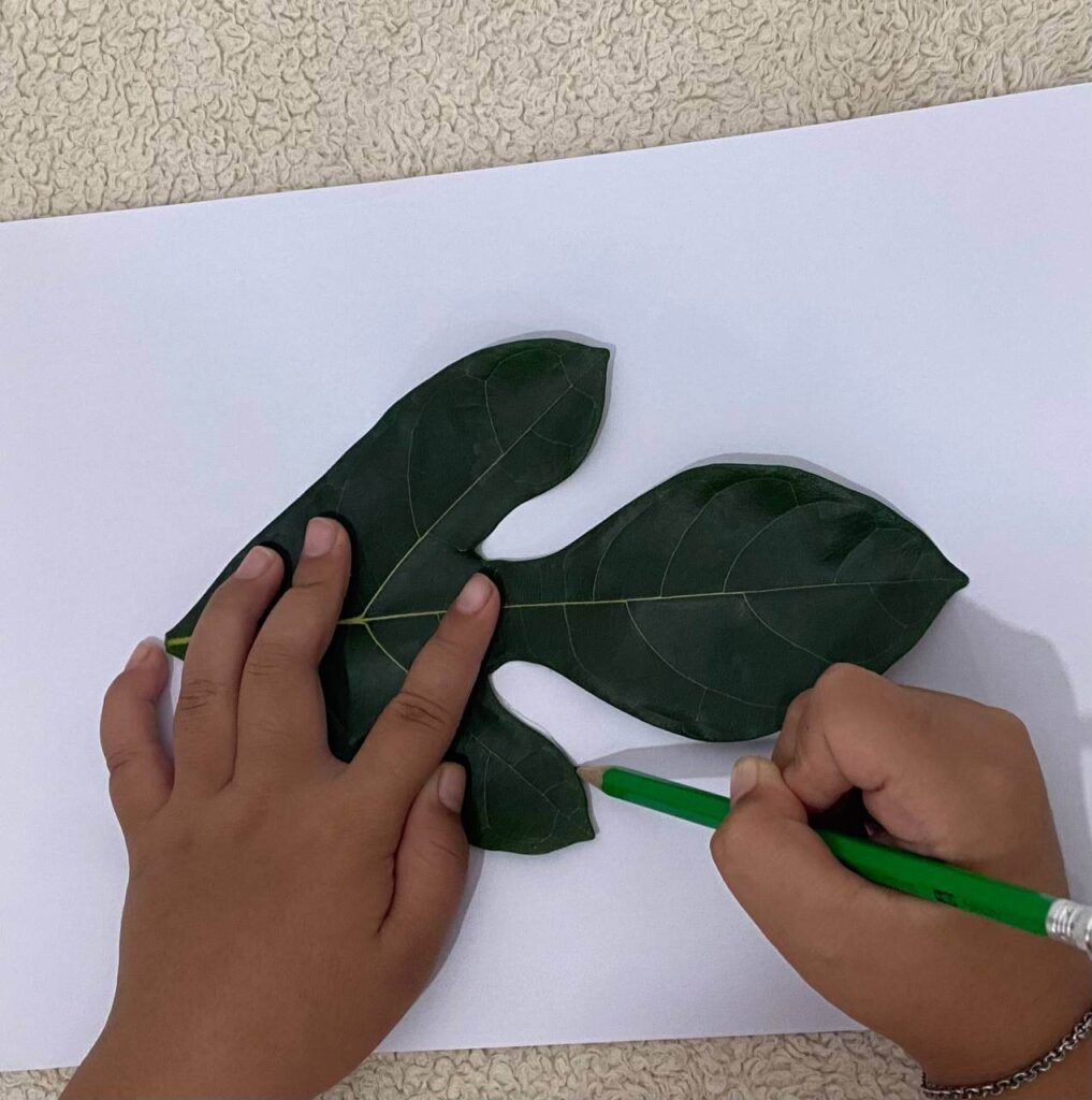 A child's hands holding a jackfruit leaf flat on a white piece of paper while tracing its edges with a green pencil.