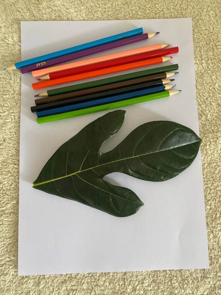 A top-down view of a blank white sheet of paper resting on a textured carpet, with a green jackfruit leaf and a stack of colored pencils laid on top.