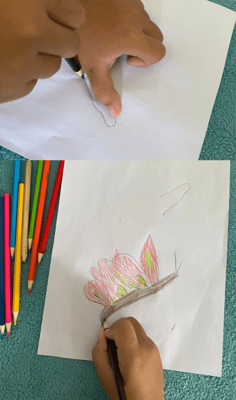 A child's thumb being traced on paper, shown next to a large pink and green grandfather butterfly drawing.